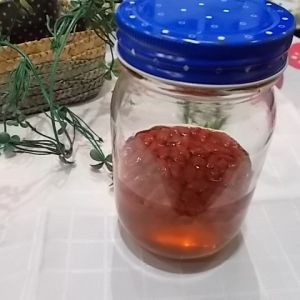 ゴジベリー酒
