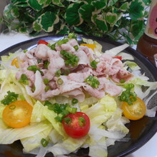 かけうめで 冷しゃぶサラダ