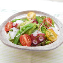 たこと香味野菜のサラダ