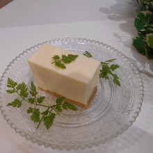 レアチーズケーキ